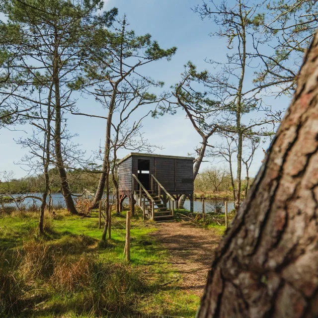 Bird Observatory in the Mousterlin Marsh in Fouesnant 1