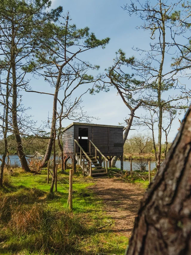 Bird Observatory in the Mousterlin Marsh in Fouesnant 1