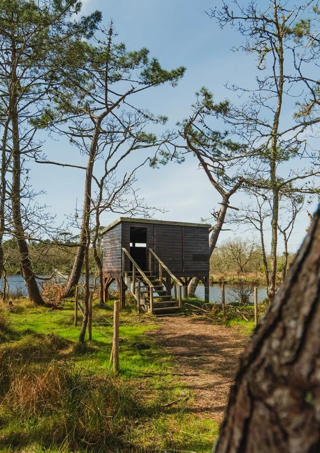 Observatoire A Oiseaux Dans Le Marais De Mousterlin A Fouesnant 1