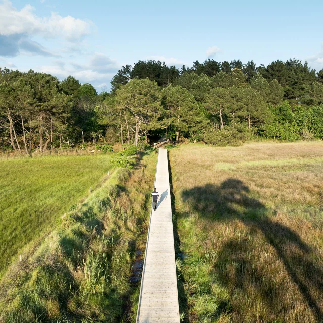 Platelage de L'anse Du Petit Moulin A Bénodet