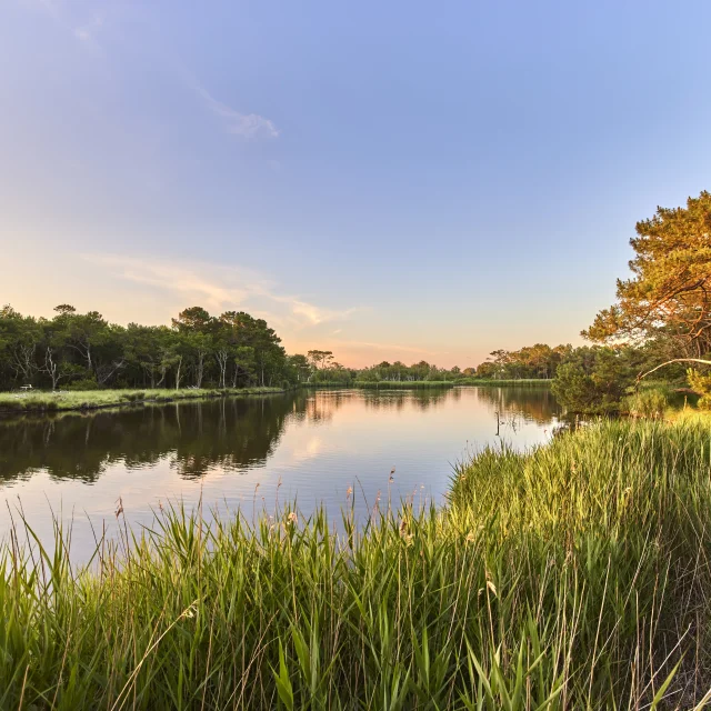 Polder von Mousterlin