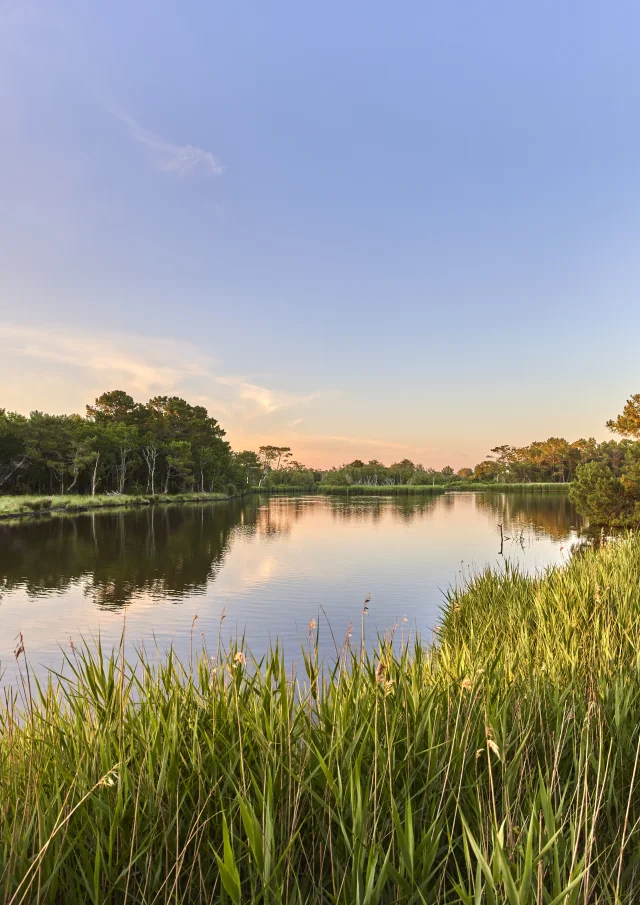 Polder de Mousterlin