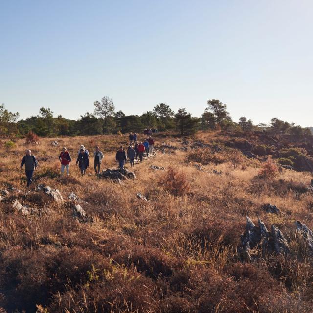 Randonnée sur les Grées