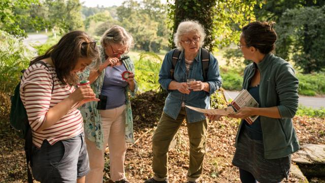 Balade Nature Saute Ruisseaux Rochefort En Terre Observation