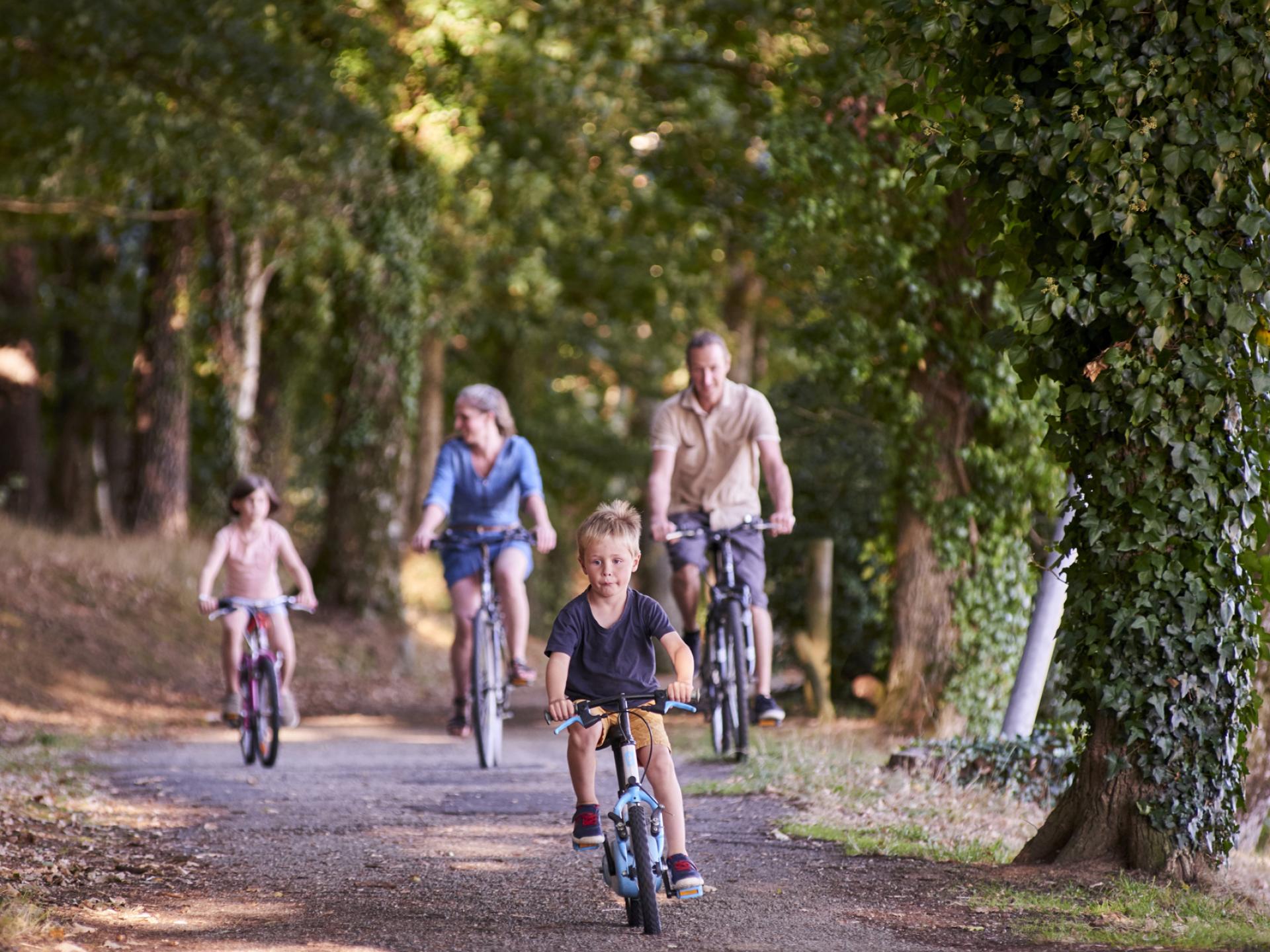 Voie Verte et Vélo Promenades | Rochefort-en-Terre Tourisme | Bretagne