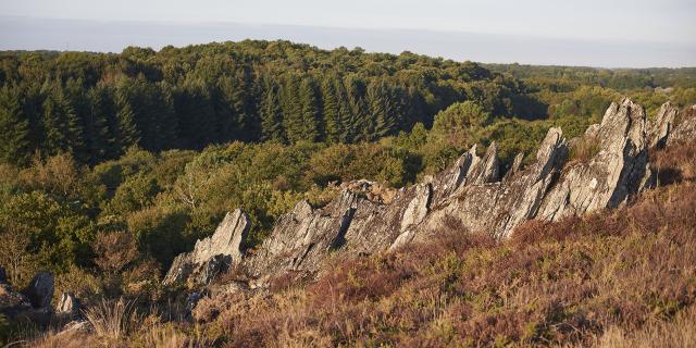 Les Grées (5)