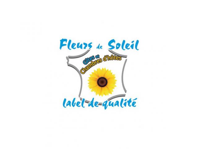 Fleurs De Soleil