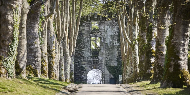 Le château d'origine de Rochefort-en-Terre