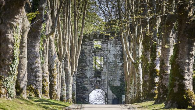 Le château d'origine de Rochefort-en-Terre