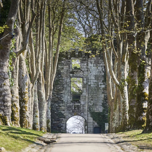 Le château d'origine de Rochefort-en-Terre