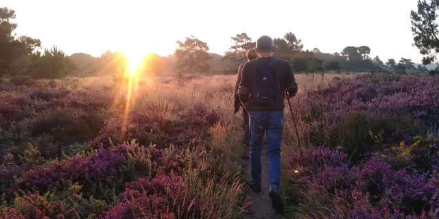 Saute Ruisseaux Lever De Soleil