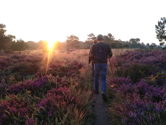 Saute Ruisseaux Lever De Soleil