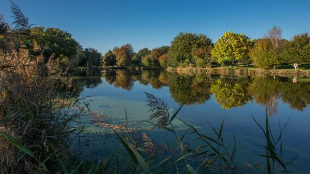 etang-de-lauzach-pnr-golf.jpg