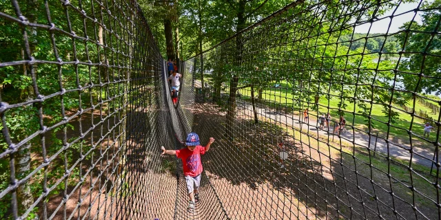 Moulin Neuf Aventure - Chasse aux œufs dans les arbres