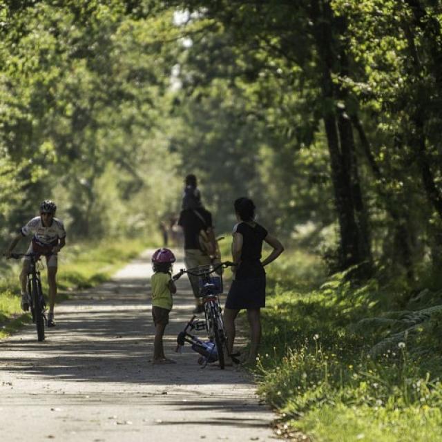Vélo promenade Molac La voie verte