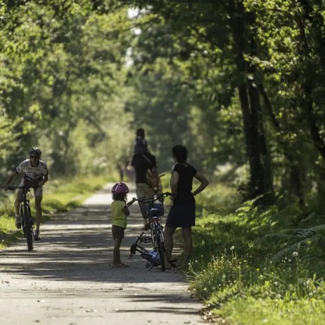 La voie verte n°3 - Questembert - St Malo