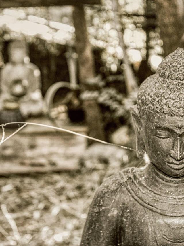 Buddha