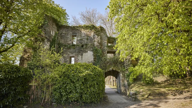 Vestiges du Château de Rochefort-en-Terre