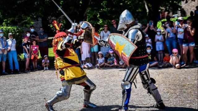 Vincent Lion Photographe 2 Vikingschevaliers