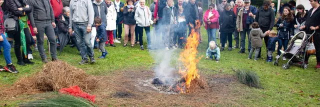 Fête de la châtaigne Limerzel