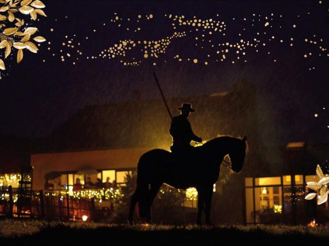 Spectacle Equestre La Gree Des Landes