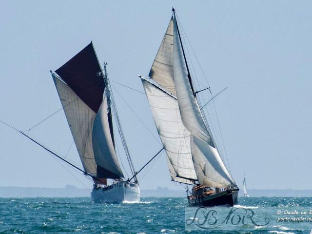 Lys Noir Et Biche Entrent Dans Le Golfe Le 8 Juillet 2021
