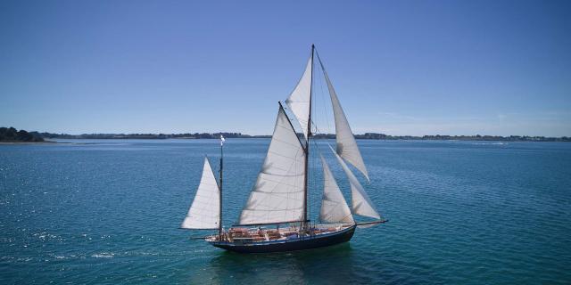 Voilier Lys Noir