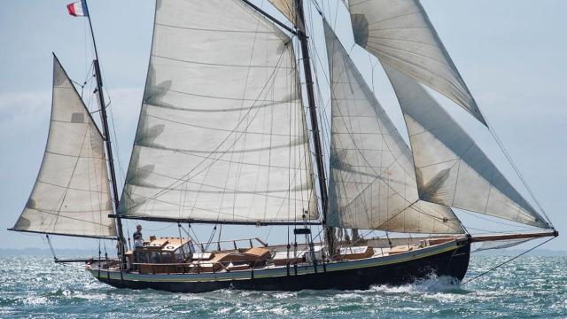 Lys Noir Dans Le Golfe Du Morbihan Juillet 2021 1