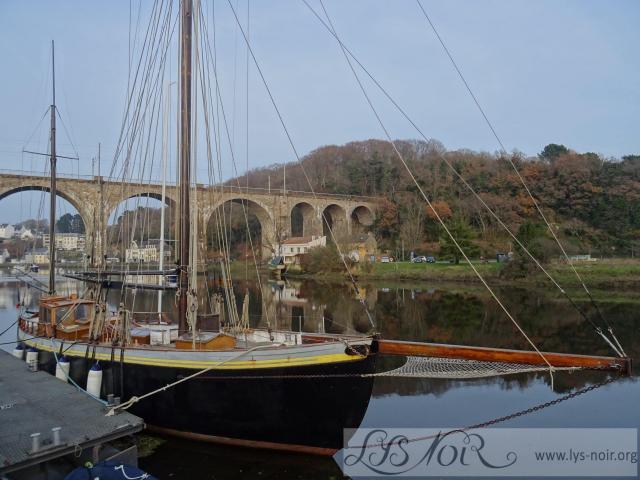 Le Lys Noir