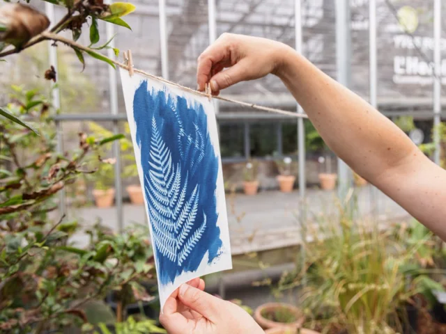 Atelier Pause Créative Cyanotype - Yves Rocher