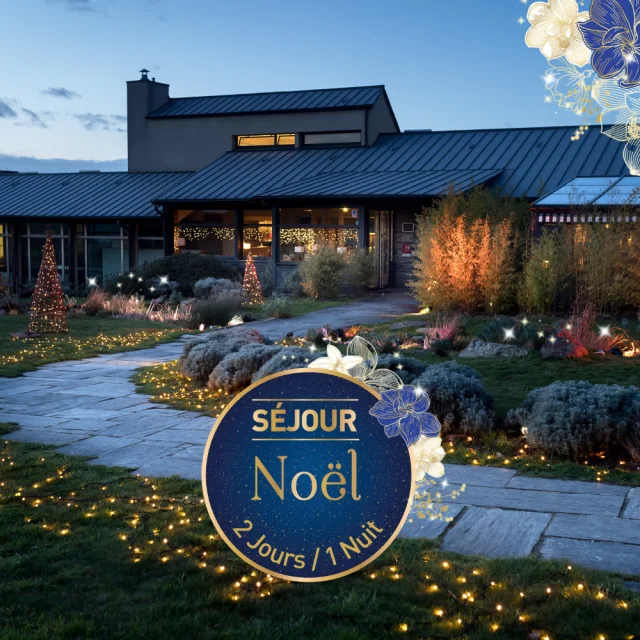 Sejour Noel Yr 2024
