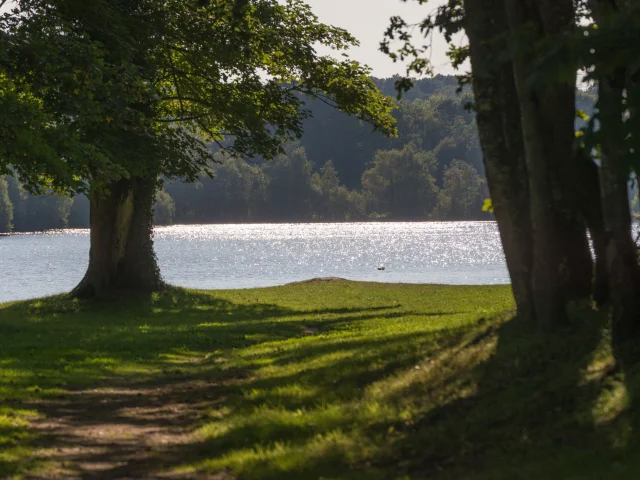 Etang du Moulin Neuf