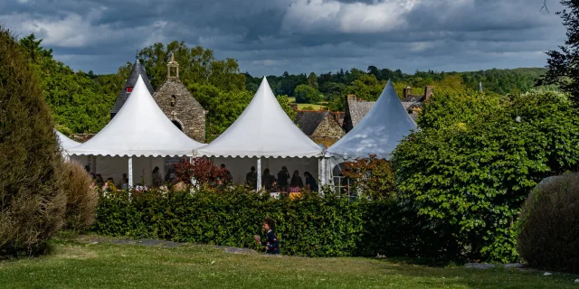 Festival BD Imaginambulles Rochefort-en-Terre 2024