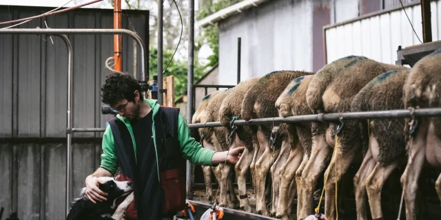 Ferme Des Folaisons Pluherlin