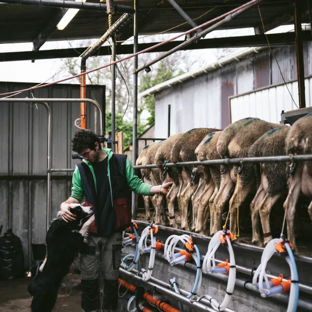 Ferme Des Folaisons Pluherlin