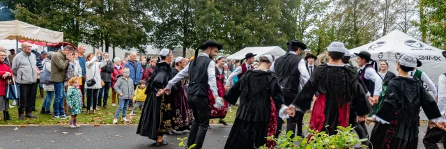 Fête de la châtaigne Limerzel