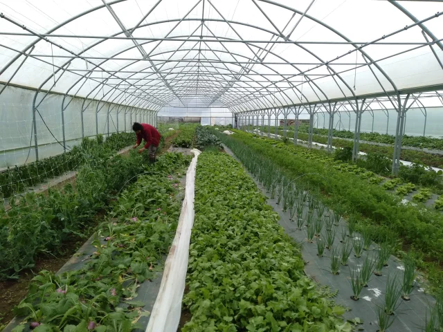Ferme des Folaisons Pluherlin