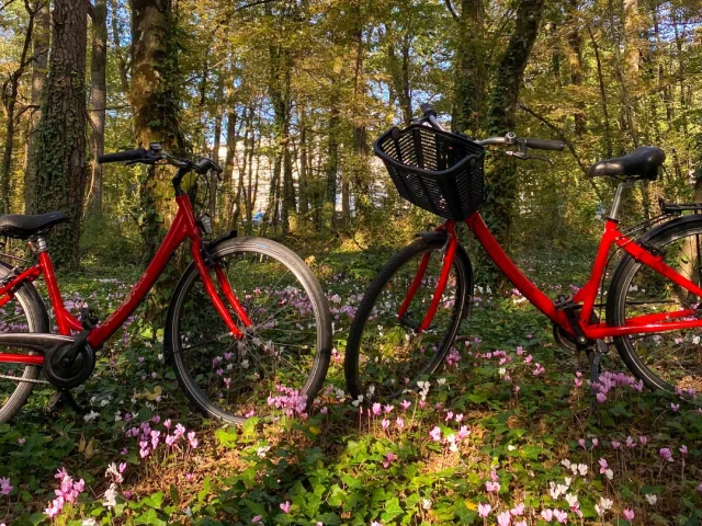Velocouest Location De Velos