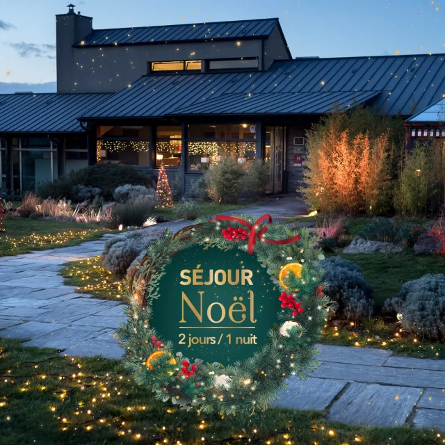 Sejour Noel La Gree Des Landes 2025