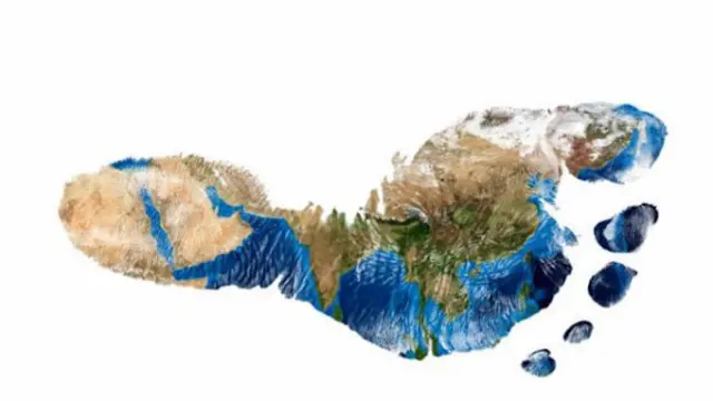 Wutang2 Geoffrey Le Brech