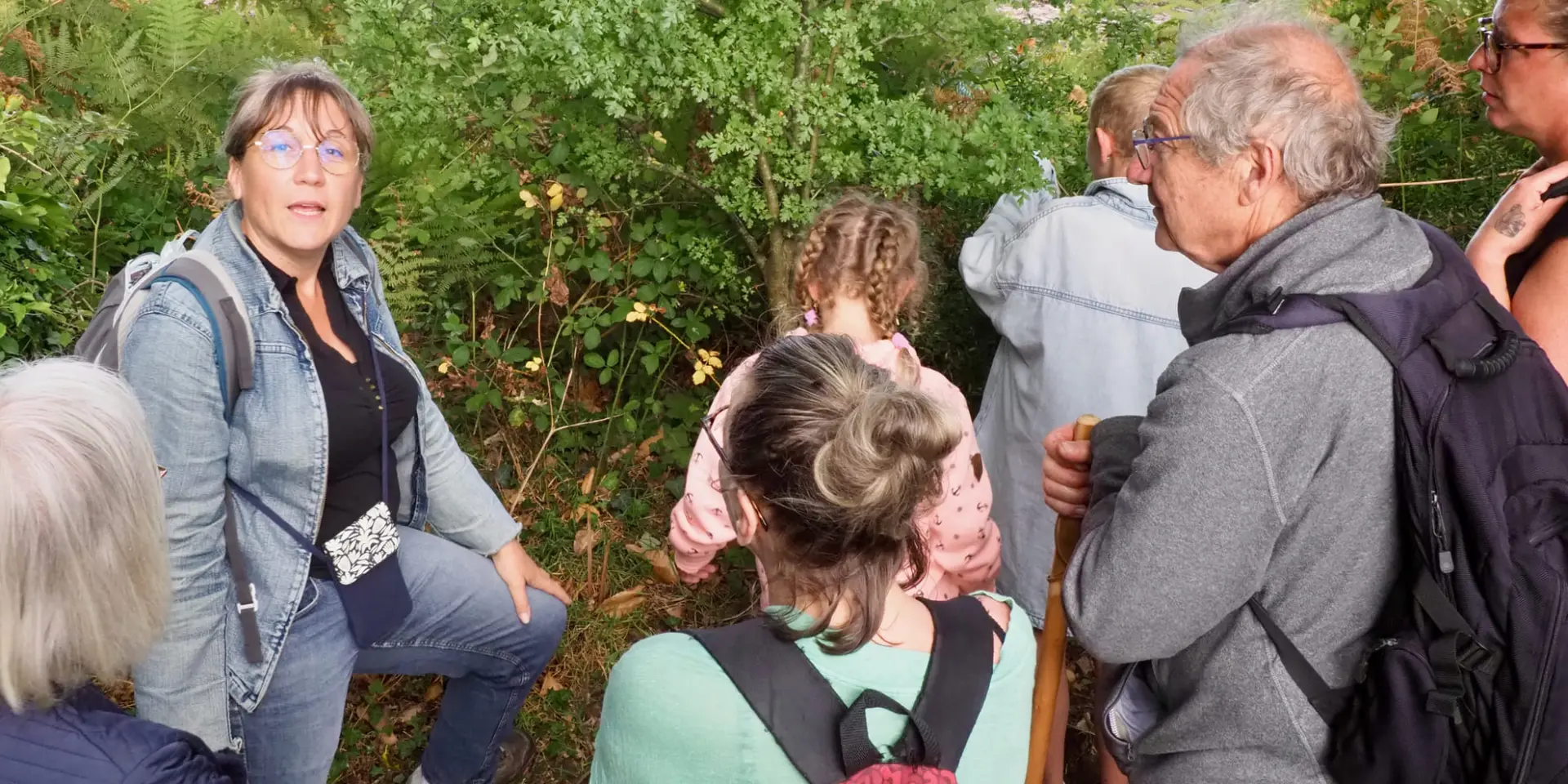 Plumes Et Papillons -Priscille Vasse