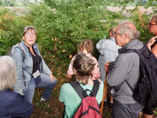 Plumes Et Papillons -Priscille Vasse