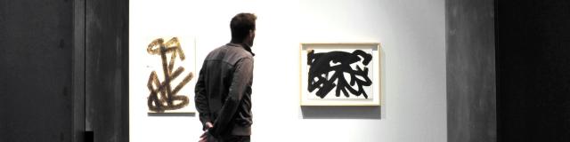 Brous de noix au musée Soulages