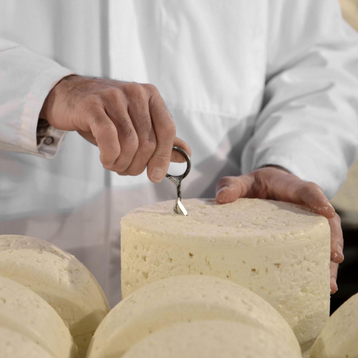 Balade : Millau et la vallée du Tarn | Office de tourisme Rodez ...