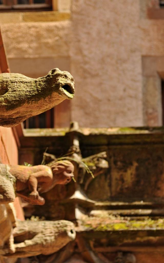 Gargouilles de la maison de Benoit à Rodez