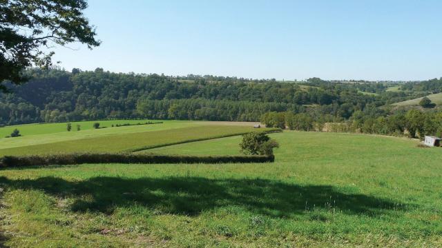 Vue sur la nature à Olemps