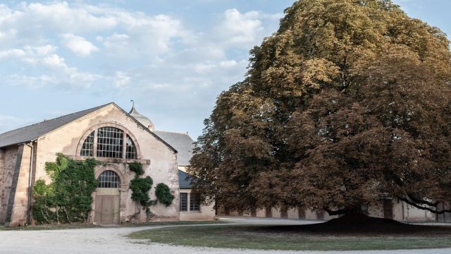Anciens Haras