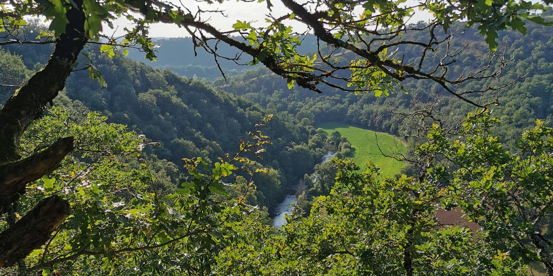 Vallée verdoyante de l'Aveyron vue depuis les hauteurs d'une forêt