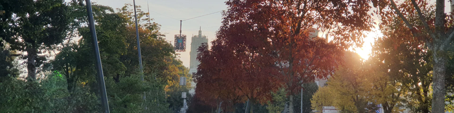 Personnes marchant sur l'allée piétonne qui longe la route et les arbres aux couleurs d'automne, jusqu'à la cathédrale