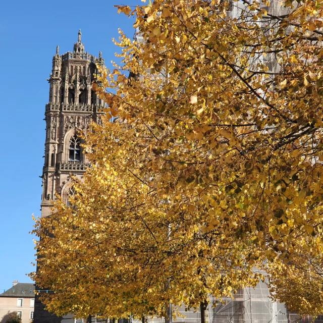 Le clocher de la cathédrale caché par un arbre aux feuilles jaunies d'automne